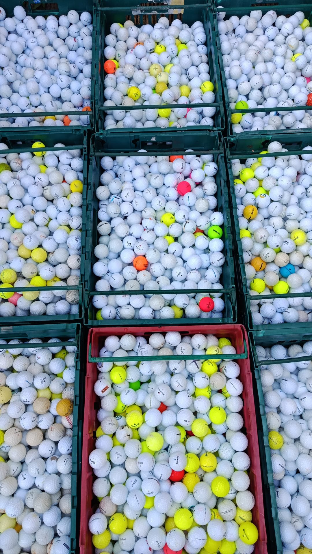 Sorted crates of golf balls