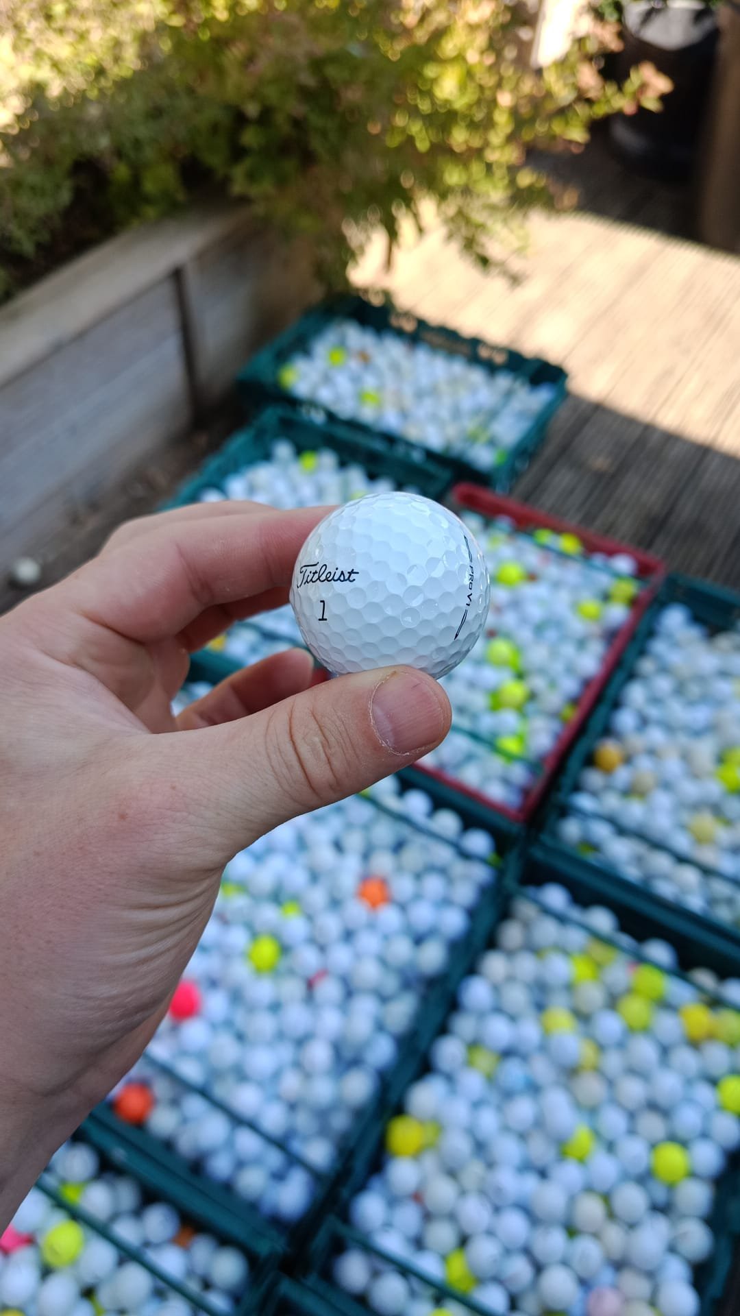 Used golf balls collection